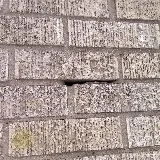 Humberto's Pest Management Services photo 8