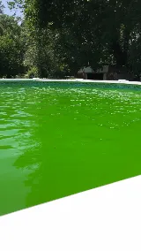 Best Pools photo 6