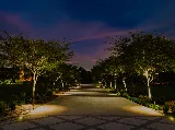 Lume by Masick photo 6