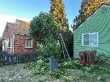 Royal Landscaping & Hauling photo 8