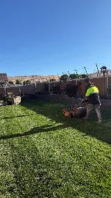Abel’s and Sons Lawn Services llc photo 5