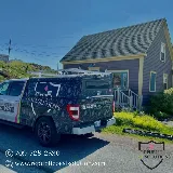 Republic Pest Solutions photo 4