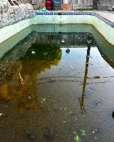The Lazy Pool Services photo 8
