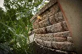 Giant Landscaping Services photo 8