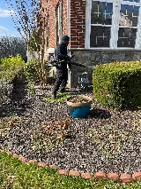 Senate Termite & Pest Control photo 4