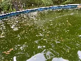 Clear Water Pools and Spas Inc photo 5