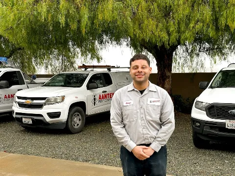 Aantex Pest Control in Brentwood
