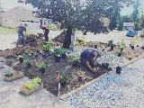 Vision Landscaping photo 7