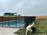 Ultimate Pools photo 6