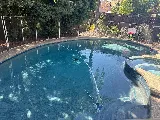 Professional Pool Service