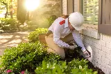 Orkin Canada Pest Control