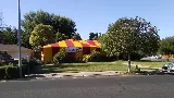 Dewey Pest & Termite Control photo 3