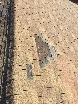The Roof Repair Guy photo 6