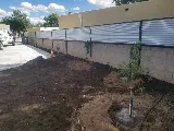 R & S Landscaping photo 8