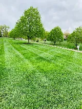 J&K Landscaping LLC photo 7