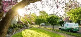 Natura Pest Control - Vancouver photo 7