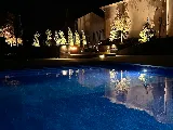 Fine Lines Landscape photo 8
