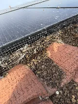 Golden Rays Solar Panel Cleaning Company LLC photo 4