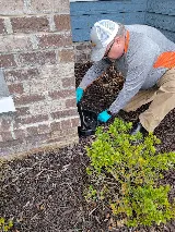 Mitchell Pest Services photo 4