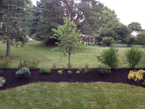 M2 Landscaping LLC in Rockford