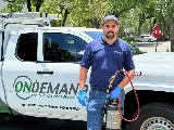 On Demand Pest Control photo 3