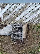 Strategic Pest Solutions Inc. photo 8