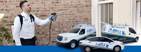 A Bell Pest Services photo 1