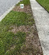 Royal Pest Service Inc photo 7
