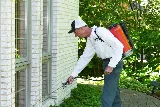 Pointe Pest Control - Eureka