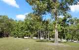 U.S. Lawns - New Orleans photo 8