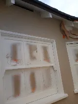 Handyman Professional House Painter photo 4