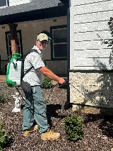 All-Safe Pest & Termite photo 3