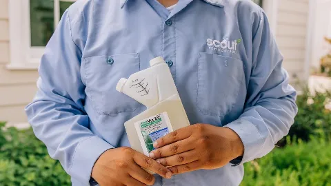 Scout Pest Control in Decatur