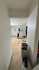 White Lotus Painting services photo 4