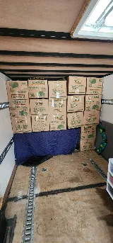 Goliath Moving photo 8