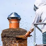 Expert Pest Control photo 5