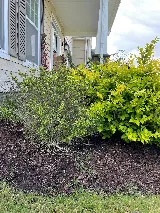 Bust-A-Bug Pest & Crawlspace Solutions photo 7