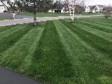 Landscape Solutions photo 8