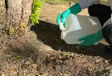 TruSolution Pest Control photo 5