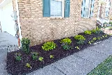 Dr. Dan's Landscaping & Architectural Design photo 3