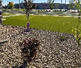 Palero Greenscaper Landscaping photo 4