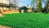 Team Green Lawn Care