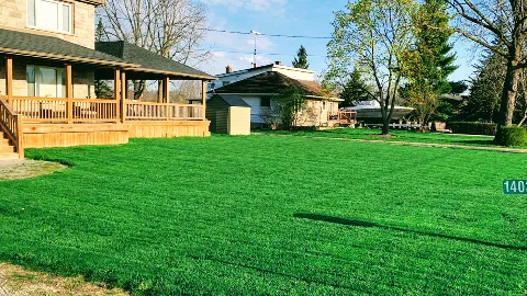 Team Green Lawn Care in Welland