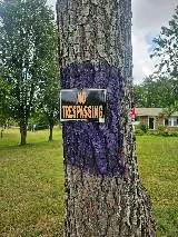 EcoShield Pest Solutions photo 2