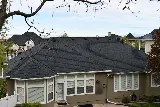 Vertex Roofing