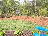 The Pine Needle Man photo 4