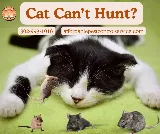 Affordable Pest Control Service photo 7
