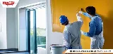 Mister Paint photo 8