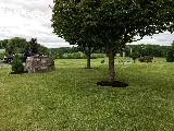 Butler Lawn and Landscape LLC photo 6