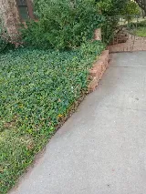 Garza Lawn Care photo 4